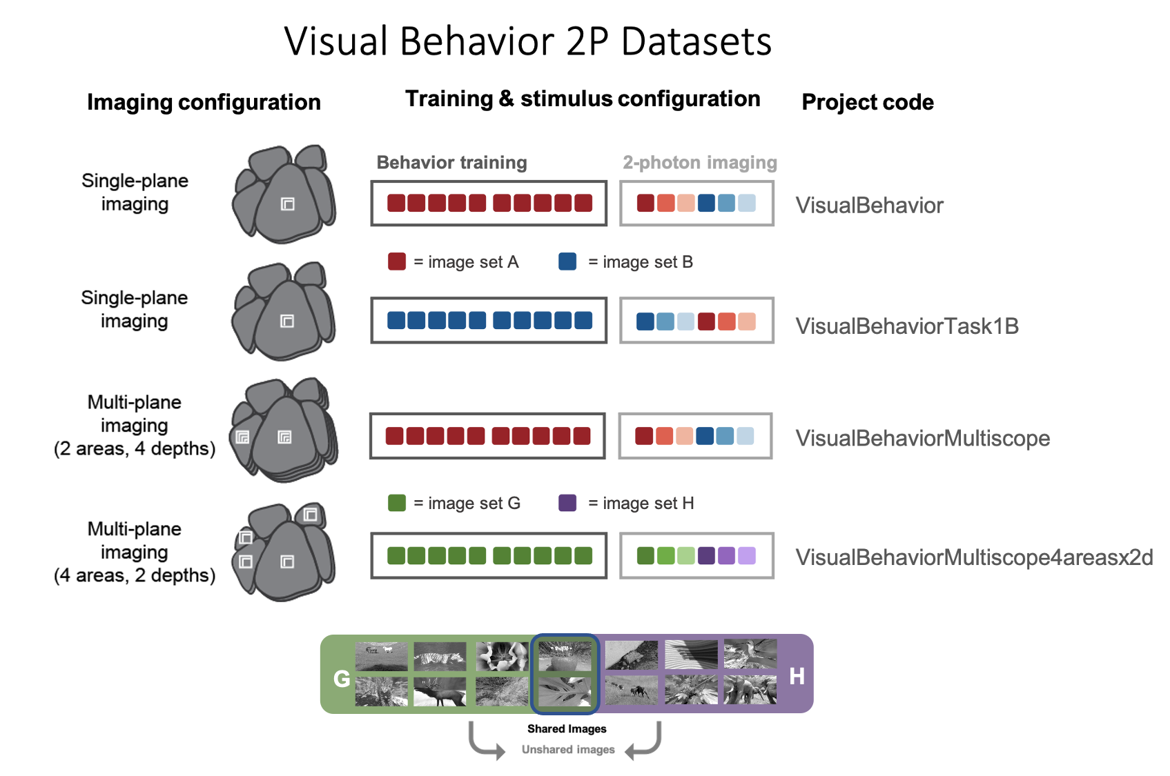 _static/visual_behavior_2p/dataset_variants_GH.png